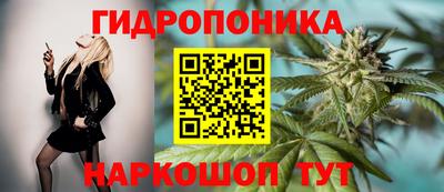 apvp Рыбинск
