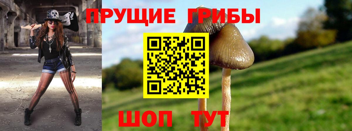 Пенза  Галлюциногенные грибы прущие грибы  Вход с VPN  Галлюциногенные грибы Magic Shrooms 
